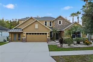 19238 Climbing Aster Dr, Tampa, FL 33647 - Photo 1