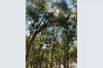 Coyote Road, Hudson, FL 34667 - Photo 1