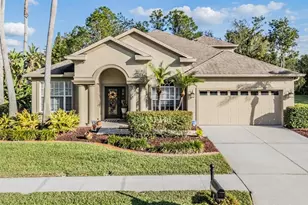 27239 Firebush Dr, Wesley Chapel, FL 33544 - Photo 1