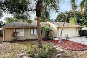2884 Cinnamon Bear Trail, Palm Harbor, FL 34684 - Photo 1