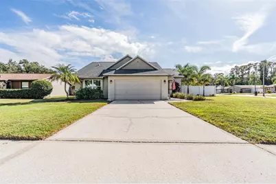 714 Satinleaf Avenue, Oldsmar, FL 34677 - Photo 1