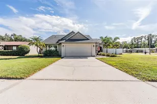 714 Satin Leaf Ave, Oldsmar, FL 34677 - Photo 1