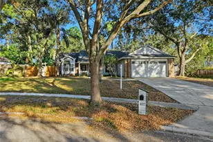 807 Edgehill Dr, Palm Harbor, FL 34684 - Photo 1