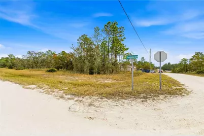 0 Tinamou Avenue, Weeki Wachee, FL 34614 - Photo 1