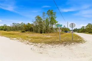 0 Tinamou Ave, Weeki Wachee, FL 34614 - Photo 1