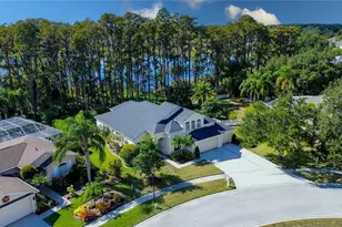 13815 Chandron Dr, Odessa, FL 33556 - Photo 1