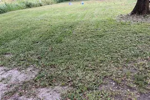711 S Marshall St, Plant City, FL 33563 - Photo 1