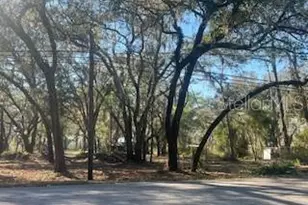 16222 Livingston Ave, Lutz, FL 33559 - Photo 1