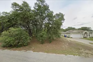 2162 W Swanson Dr, Citrus Springs, FL 34434 - Photo 1