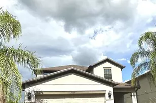 20031 Date Palm Way, Tampa, FL 33647 - Photo 1