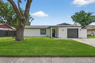 17821 Morninghigh Dr, Lutz, FL 33549 - Photo 1