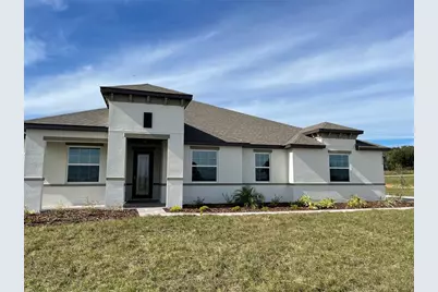 10064 Dolphin Gull Circle, Thonotosassa, FL 33592 - Photo 1