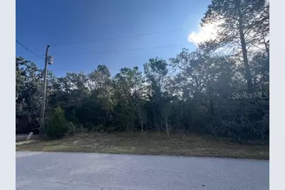 3328 Horseshoe Ln, Spring Hill, FL 34606 - Photo 1