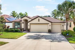 8522 White Poplar Dr, Riverview, FL 33578 - Photo 1