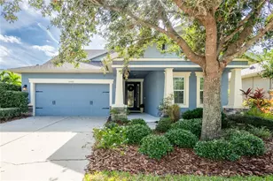 6510 Nestall Ct, Apollo Beach, FL 33572 - Photo 1
