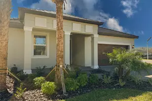 17216 Mango Shay Ct, Land O Lakes, FL 34638 - Photo 1