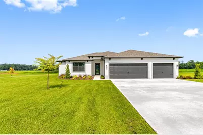 13456 Lake Gallagher Drive, Dover, FL 33527 - Photo 1