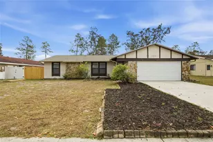 10312 Maverick St, New Port Richey, FL 34654 - Photo 1