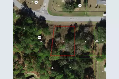 2924 W Eunice Drive, Dunnellon, FL 34433 - Photo 1