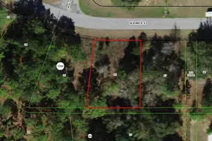 2924 W Eunice Dr, Dunnellon, FL 34433 - Photo 1