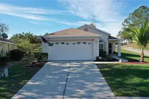 3021 Banyan Hill Ln, Land O Lakes, FL 34639 - Photo 1