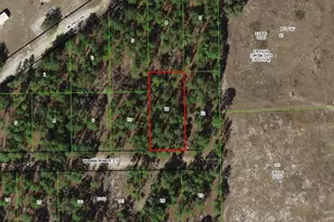 6031 W Ann Marie Ct, Dunnellon, FL 34433 - Photo 1