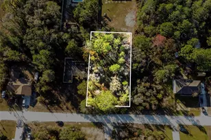 11079 Hemlock Warbler Rd, Weeki Wachee, FL 34614 - Photo 1
