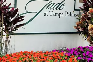 17112 Carrington Park Dr, Tampa, FL 33647 - Photo 1