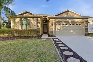10618 Blue Coral Ln, Tampa, FL 33647 - Photo 1