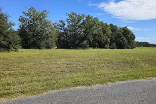 0 SW Meadow View Ct, Lake City, FL 32055 - Photo 1