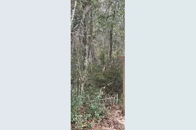 5670 West Street, De Leon Springs, FL 32130 - Photo 1