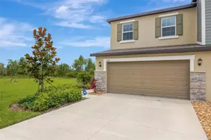17741 Tawny Malt Pl, Land O Lakes, FL 34638 - Photo 1