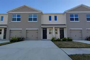 31268 Paper Birch St, Wesley Chapel, FL 33545 - Photo 1