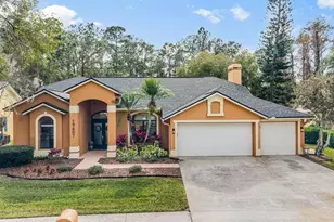 19607 Wyndham Lakes Dr, Odessa, FL 33556 - Photo 1