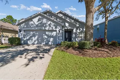 5956 Desert Peace Avenue, Land O Lakes, FL 34639 - Photo 1