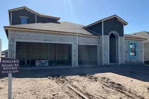 5151 Wildwind Dr, Apollo Beach, FL 33572 - Photo 1