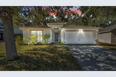 30244 Birdhouse Drive, Wesley Chapel, FL 33545 - Photo 1