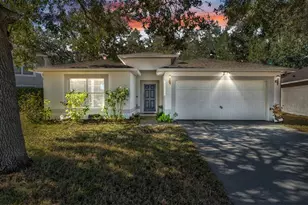 30244 Birdhouse Dr, Wesley Chapel, FL 33545 - Photo 1