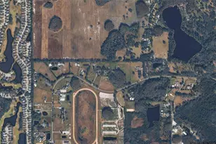 11519 Innfields Dr, Odessa, FL 33556 - Photo 1