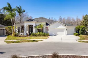 19817 Glazing Globe Ln, Lutz, FL 33558 - Photo 1