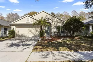 10934 May Apple Ct, Land O Lakes, FL 34638 - Photo 1