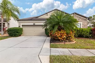 11528 Palmetto Pine St, Riverview, FL 33569 - Photo 1