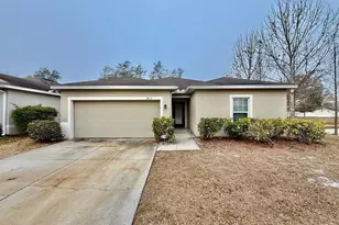 10113 Candleberry Woods Ln, Gibsonton, FL 33534 - Photo 1
