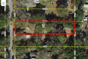 10411 1/2 N Woodmere Rd, Tampa, FL 33617 - Photo 1