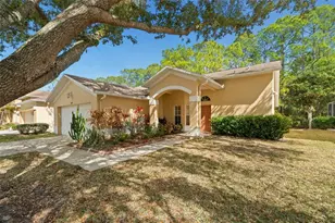 1727 Bayhill Dr, Oldsmar, FL 34677 - Photo 1
