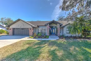 3809 Buckingham Loop Dr, Valrico, FL 33594 - Photo 1