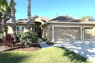 3347 Diamond Falls Cir, Land O Lakes, FL 34638 - Photo 1