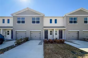 31276 Paper Birch St, Wesley Chapel, FL 33545 - Photo 1