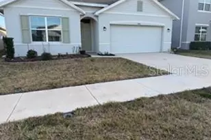 34076 Soaring Bamboo Path, Wesley Chapel, FL 33543 - Photo 1