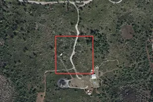 Holopaw Groves Rd, Saint Cloud, FL 34773 - Photo 1
